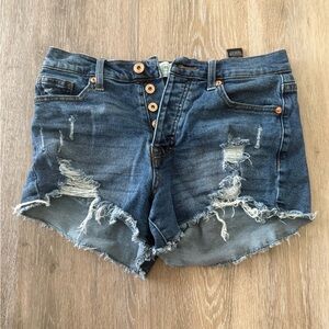 Celebrity Pink Blue Distressed Jean Shorts